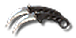 鹰爪