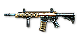 RGP
