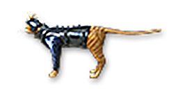 C.A.T